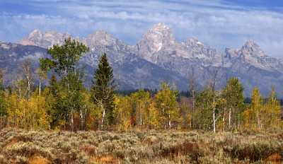 Jackson Hole Grand Teton Nationalpark Wyoming Moose Snake Forest City Pass - 011468 - 26-09-2012 - 11865x6876 Pixel Jackson Hole Grand Teton Nationalpark Wyoming Moose Snake Forest City Pass Photography Prints For Sale Sea Beach Prints Cloud Sunshine Landscape Photography...