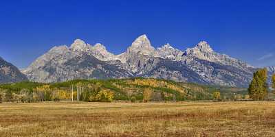 Jackson Hole Grand Teton National Park Wyoming Moose Photo Fine Art Fine Art Photographer - 011625 - 28-09-2012 - 16483x6130 Pixel Jackson Hole Grand Teton National Park Wyoming Moose Photo Fine Art Fine Art Photographer Stock Image Fine Art Photographers Winter Fine Art Printer Art Prints...