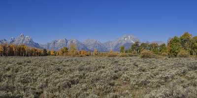 Moose Head Ranch Grand Teton National Park Wyoming Fine Art Printing Modern Wall Art Sale Summer - 015390 - 25-09-2014 - 20492x6400 Pixel Moose Head Ranch Grand Teton National Park Wyoming Fine Art Printing Modern Wall Art Sale Summer Forest Tree Photography Island Fine Art Foto Fine Art...