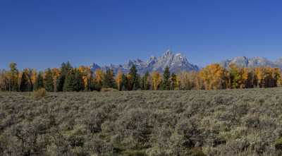 Moose Head Ranch Grand Teton National Park Wyoming Sale Modern Wall Art Art Photography Gallery - 015391 - 25-09-2014 - 12060x6650 Pixel Moose Head Ranch Grand Teton National Park Wyoming Sale Modern Wall Art Art Photography Gallery Shore Mountain Landscape Fine Art Foto Stock Images Fine Arts...