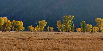 Jackson Hole Grand Teton National Park Wyoming Mormon Sale Summer Royalty Free Stock Photos - 011613 - 27-09-2012 - 20914x6532 Pixel Jackson Hole Grand Teton National Park Wyoming Mormon Sale Summer Royalty Free Stock Photos Art Photography Gallery Fine Art Photography Galleries Fine Art Foto...