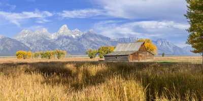 Mormon Row View Grand Teton Wyoming Tree Barn Rock What Is Fine Art Photography Outlook - 015478 - 24-09-2014 - 14470x7088 Pixel Mormon Row View Grand Teton Wyoming Tree Barn Rock What Is Fine Art Photography Outlook Fine Art Landscape Image Stock Fine Art Photography Galleries Stock...