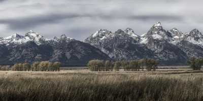 Grand Teton National Park Multon Barn Mormon Row Fine Art Fotografie Lake - 022172 - 11-10-2017 - 32045x7825 Pixel Grand Teton National Park Multon Barn Mormon Row Fine Art Fotografie Lake Fine Art Photography Gallery Animal Grass Fine Art Fine Art Landscape Photo Rock Fog...