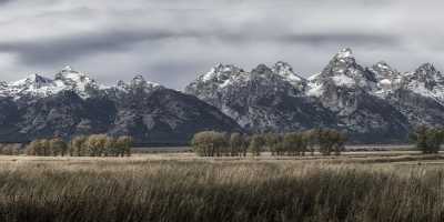 Grand Teton National Park Multon Barn Mormon Row Fine Art Fotografie Lake - 022172 - 11-10-2017 - 32045x7825 Pixel Grand Teton National Park Multon Barn Mormon Row Fine Art Fotografie Lake Fine Art Photography Gallery Animal Grass Fine Art Fine Art Landscape Photo Rock Fog...