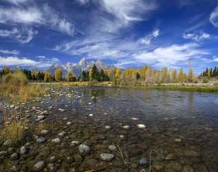 Schwabachers Landing Grand Teton Wyoming Tree Swamp Autumn Rain Prints For Sale Stock Photos Rock - 015445 - 24-09-2014 - 9327x7356 Pixel Schwabachers Landing Grand Teton Wyoming Tree Swamp Autumn Rain Prints For Sale Stock Photos Rock Fine Art Photography Galleries Sunshine Order Modern Art Print...
