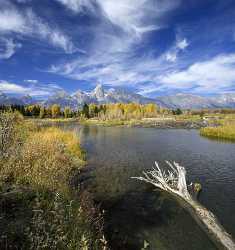 Schwabachers Landing Grand Teton Wyoming Tree Swamp Autumn Sale Photography Fine Art Print Park - 015446 - 24-09-2014 - 7240x7703 Pixel Schwabachers Landing Grand Teton Wyoming Tree Swamp Autumn Sale Photography Fine Art Print Park Art Prints Sky Order Pass Fine Art Landscapes Fine Art Printing...