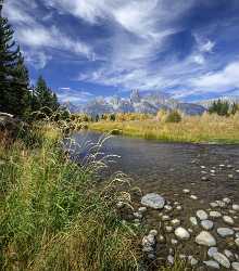 Schwabachers Landing Grand Teton Wyoming Tree Swamp Autumn Fine Art Nature Photography - 015447 - 24-09-2014 - 7231x8233 Pixel Schwabachers Landing Grand Teton Wyoming Tree Swamp Autumn Fine Art Nature Photography Fine Art Posters Shoreline Rain Barn Stock Photos Modern Art Print Fine...