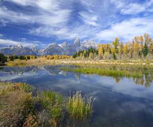 Schwabachers Landing Grand Teton Wyoming Tree Swamp Autumn Fine Art Prints Fine Art Fotografie - 015449 - 24-09-2014 - 7267x6061 Pixel Schwabachers Landing Grand Teton Wyoming Tree Swamp Autumn Fine Art Prints Fine Art Fotografie Landscape Photo Art Photography For Sale Photography Fine Art...