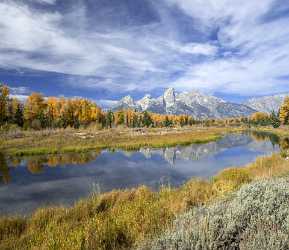 Schwabachers Landing Grand Teton Wyoming Tree Swamp Autumn Fine Art Printer Photography Ice - 015450 - 24-09-2014 - 7369x6383 Pixel Schwabachers Landing Grand Teton Wyoming Tree Swamp Autumn Fine Art Printer Photography Ice Mountain Fine Art Fine Art Fotografie Summer Modern Art Prints Fine...