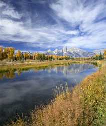 Schwabachers Landing Grand Teton Wyoming Tree Swamp Autumn Fine Art Prints For Sale - 015451 - 24-09-2014 - 7245x8566 Pixel Schwabachers Landing Grand Teton Wyoming Tree Swamp Autumn Fine Art Prints For Sale Landscape Photography Lake Ice Fine Art Posters Fine Art Landscapes Senic...