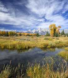 Schwabachers Landing Grand Teton Wyoming Tree Swamp Autumn Fine Art Photography Gallery - 015453 - 24-09-2014 - 7546x8665 Pixel Schwabachers Landing Grand Teton Wyoming Tree Swamp Autumn Fine Art Photography Gallery Country Road Fine Art Photos Color Park Royalty Free Stock Photos Prints...