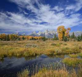 Schwabachers Landing Grand Teton Wyoming Tree Swamp Autumn Fine Art Printer Nature Summer Sea - 015464 - 24-09-2014 - 7282x6856 Pixel Schwabachers Landing Grand Teton Wyoming Tree Swamp Autumn Fine Art Printer Nature Summer Sea Fine Arts Photography Stock Image Stock Pictures Fine Art Nature...