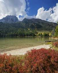 String Lake Grand Teton Wyoming Tree Autumn Color Cloud Country Road Animal Stock Image Rain - 015507 - 23-09-2014 - 7238x9008 Pixel String Lake Grand Teton Wyoming Tree Autumn Color Cloud Country Road Animal Stock Image Rain Fine Art Fotografie Fine Art Fine Art Photographers Art Photography...