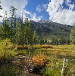 String Lake Grand Teton Wyoming Tree Autumn Color Stock Image Shore Fine Art Photos Sunshine Park - 015509 - 23-09-2014 - 7270x7307 Pixel String Lake Grand Teton Wyoming Tree Autumn Color Stock Image Shore Fine Art Photos Sunshine Park Cloud Modern Wall Art Famous Fine Art Photographers Modern Art...