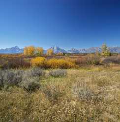 Willow Flats Mount Moran Grand Teton National Park Shoreline Fine Art Photographer Rain - 015345 - 25-09-2014 - 7274x7453 Pixel Willow Flats Mount Moran Grand Teton National Park Shoreline Fine Art Photographer Rain Fine Art Photography Art Printing Color Stock Flower Fine Art Photo Fine...