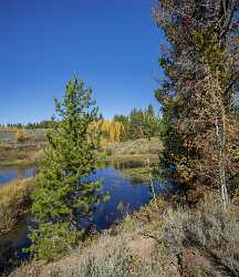 Willow Flats Mount Moran Grand Teton National Park Summer Rain Fine Art Giclee Printing - 015346 - 25-09-2014 - 7235x8356 Pixel Willow Flats Mount Moran Grand Teton National Park Summer Rain Fine Art Giclee Printing Modern Wall Art Tree What Is Fine Art Photography Famous Fine Art...