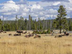 Firehole Lake Drive