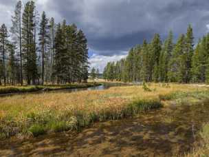 Geyser Creek