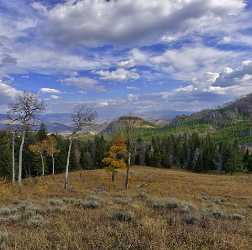 Yellowstone National Park Wyoming Grand Loop Road North Beach Panoramic Art Prints For Sale - 011734 - 28-09-2012 - 7103x7043 Pixel Yellowstone National Park Wyoming Grand Loop Road North Beach Panoramic Art Prints For Sale Western Art Prints For Sale Animal Spring Snow Fine Art Photo Barn...