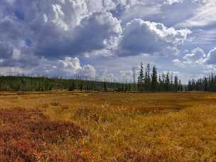 Lewis Lake Riverside