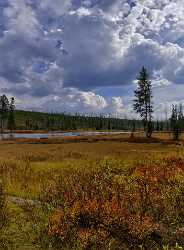 Yellowstone National Park Wyoming Lewis Lake Riverside Autumn Fine Art America Leave - 011665 - 28-09-2012 - 6256x8516 Pixel Yellowstone National Park Wyoming Lewis Lake Riverside Autumn Fine Art America Leave Art Prints For Sale Coast Hi Resolution Fine Arts Photography Creek Shore...