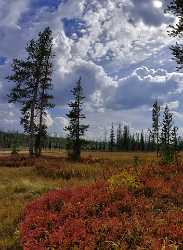 Yellowstone National Park Wyoming Lewis Lake Riverside Autumn Photo Fine Art Stock Photos Fine Art - 011666 - 28-09-2012 - 6548x8926 Pixel Yellowstone National Park Wyoming Lewis Lake Riverside Autumn Photo Fine Art Stock Photos Fine Art Prints For Sale Fine Art Foto Stock Image Rain Outlook Fine...