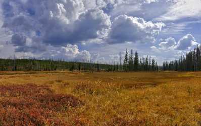 Yellowstone National Park Wyoming Lewis Lake Riverside Autumn Fine Art Landscape River Stock Image - 011667 - 28-09-2012 - 10900x6851 Pixel Yellowstone National Park Wyoming Lewis Lake Riverside Autumn Fine Art Landscape River Stock Image Fine Art Photography Prints For Sale Photography Prints For...