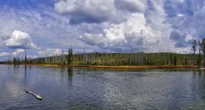 Yellowstone National Park Wyoming Lewis Lake Riverside Autumn Image Stock Photo Fine Art - 011668 - 28-09-2012 - 11411x6141 Pixel Yellowstone National Park Wyoming Lewis Lake Riverside Autumn Image Stock Photo Fine Art Fine Art Print Royalty Free Stock Photos Rain What Is Fine Art...