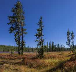 Lewis River Yellowstone National Park Wyoming View Autumn Modern Art Print Art Printing Senic - 015335 - 25-09-2014 - 9005x8583 Pixel Lewis River Yellowstone National Park Wyoming View Autumn Modern Art Print Art Printing Senic Panoramic Fine Art Photographers View Point Fine Art Photography...