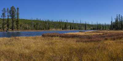 Lewis River Yellowstone National Park Wyoming View Autumn Rock Pass Outlook - 015337 - 25-09-2014 - 14486x6977 Pixel Lewis River Yellowstone National Park Wyoming View Autumn Rock Pass Outlook Fine Art Photography Prints Color Flower Fine Art Tree Fine Art Photography Prints...