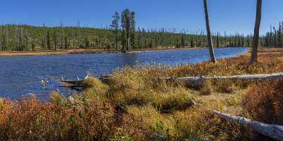 Lewis River Yellowstone National Park Wyoming View Autumn Rain Art Photography Gallery Senic - 015338 - 25-09-2014 - 9937x3816 Pixel Lewis River Yellowstone National Park Wyoming View Autumn Rain Art Photography Gallery Senic Modern Art Print Fine Arts Photography Fine Art Lake Country Road...