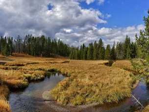 Norris Canyon Road