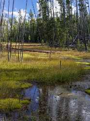 Norris Geyser Basin Swamp Yellowstone National Park Wyoming Photography Sale Winter Color - 015272 - 26-09-2014 - 7046x9455 Pixel Norris Geyser Basin Swamp Yellowstone National Park Wyoming Photography Sale Winter Color What Is Fine Art Photography Sea View Point Art Prints For Sale Fine...