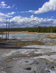 Norris Geyser Basin Trail Yellowstone National Park Wyoming Flower Fine Art Landscape Stock - 015273 - 26-09-2014 - 7024x9177 Pixel Norris Geyser Basin Trail Yellowstone National Park Wyoming Flower Fine Art Landscape Stock Stock Images Art Photography Gallery Sale Fine Art City Fine Art...