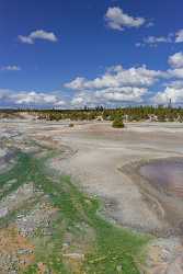 Norris Geyser Basin Trail Yellowstone National Park Wyoming Royalty Free Stock Images - 015277 - 26-09-2014 - 6698x11836 Pixel Norris Geyser Basin Trail Yellowstone National Park Wyoming Royalty Free Stock Images Photo Fine Art Beach Fine Art Photography Prints Fine Art Photography...