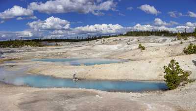 Norris Geyser Basin Trail Yellowstone National Park Wyoming Fine Art Photography For Sale - 015282 - 26-09-2014 - 12234x6927 Pixel Norris Geyser Basin Trail Yellowstone National Park Wyoming Fine Art Photography For Sale Fine Art Pictures River Stock Images Fine Art Printer Senic Island Art...