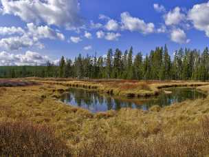 Obsidian Creek