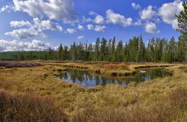 Yellowstone National Park Wyoming Grand Loop Road Obsidian Stock Image Stock Images - 011713 - 28-09-2012 - 11482x7488 Pixel Yellowstone National Park Wyoming Grand Loop Road Obsidian Stock Image Stock Images Fine Art Photographers Winter Outlook Fine Art Nature Photography Modern Art...