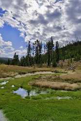Yellowstone National Park Wyoming Grand Loop Road Swamp Photography Fine Art Photography For Sale - 011706 - 28-09-2012 - 7048x12402 Pixel Yellowstone National Park Wyoming Grand Loop Road Swamp Photography Fine Art Photography For Sale Fine Art Landscapes Stock Pictures Town Shore Flower Spring...
