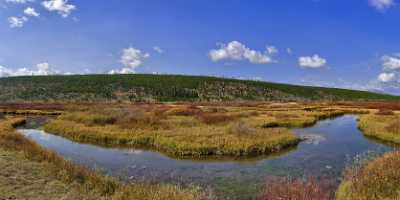 Yellowstone National Park Wyoming Grand Loop Road Willow Fine Art Photography Gallery Fine Art Foto - 011710 - 28-09-2012 - 16382x7143 Pixel Yellowstone National Park Wyoming Grand Loop Road Willow Fine Art Photography Gallery Fine Art Foto Modern Art Print Ice Fine Art Posters Fog Stock Prints For...