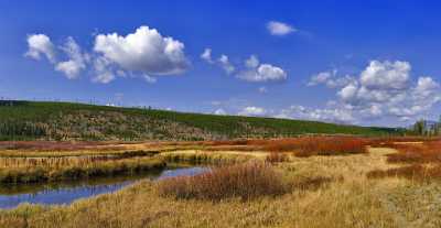 Yellowstone National Park Wyoming Grand Loop Road Willow Fine Art Photography For Sale Coast - 011712 - 28-09-2012 - 10199x5271 Pixel Yellowstone National Park Wyoming Grand Loop Road Willow Fine Art Photography For Sale Coast Royalty Free Stock Images Stock Pictures Photography Prints For...