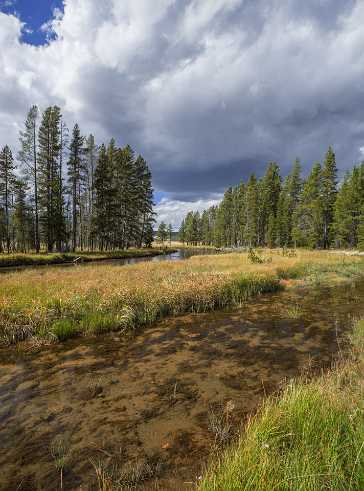 Geyser Creek Geyser Creek - Yellowstone National Park - Panoramic - Landscape - Photography - Photo - Print - Nature - Stock Photos -...