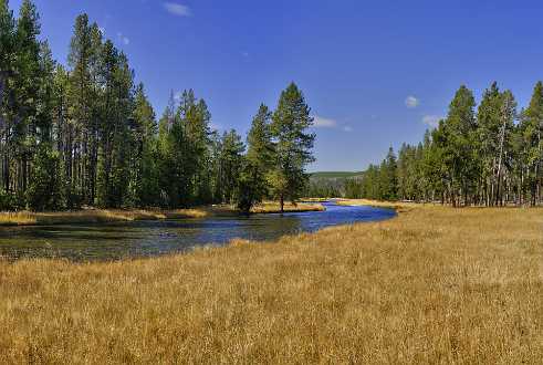 Nez Perce Creek Nez Perce Creek - Yellowstone National Park - Panoramic - Landscape - Photography - Photo - Print - Nature - Stock...