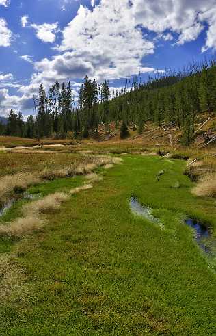 Swamp Swamp - Yellowstone National Park - Panoramic - Landscape - Photography - Photo - Print - Nature - Stock Photos - Images...