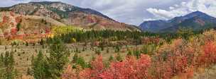 Alpine Alpine - Panoramic - Landscape - Photography - Photo - Print - Nature - Stock Photos - Images - Fine Art Prints - Sale -...