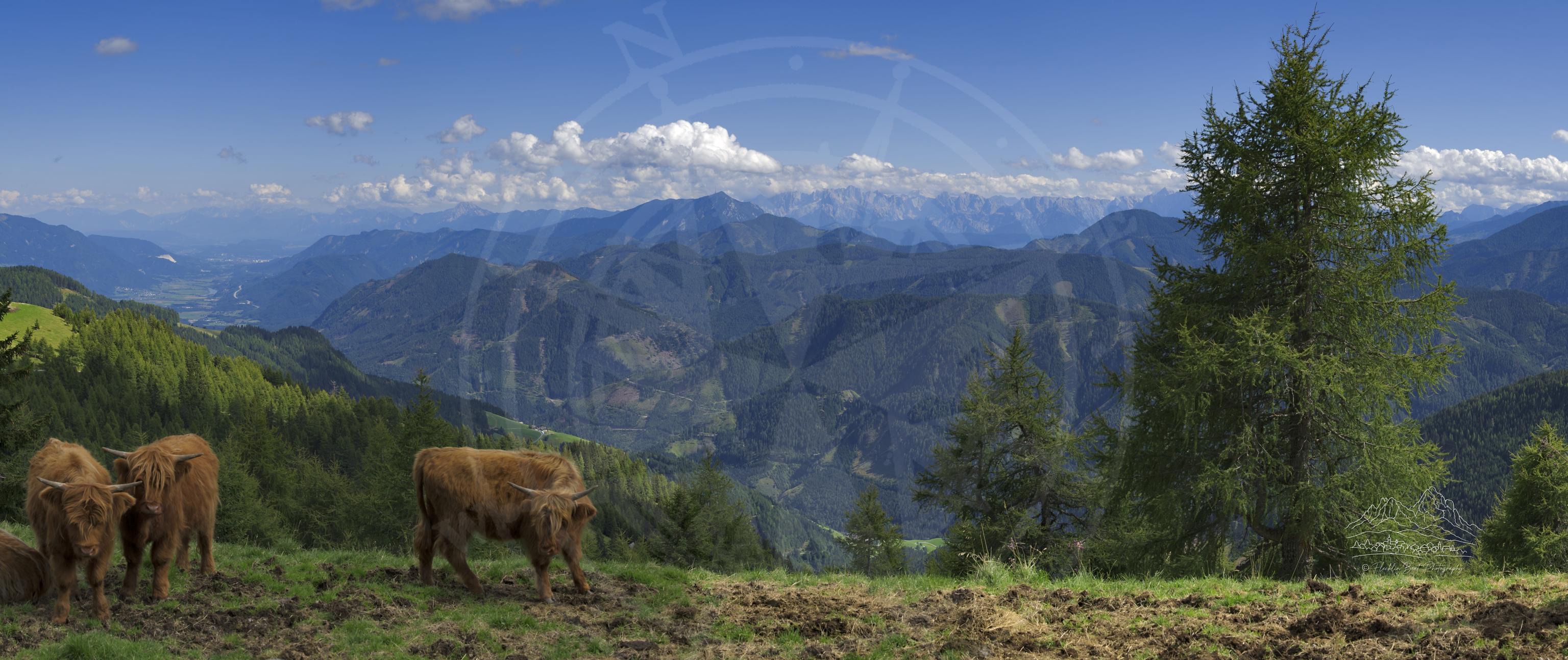 Summer Panorama of a Valley in Goldeckstraße, Carinthia, Austria