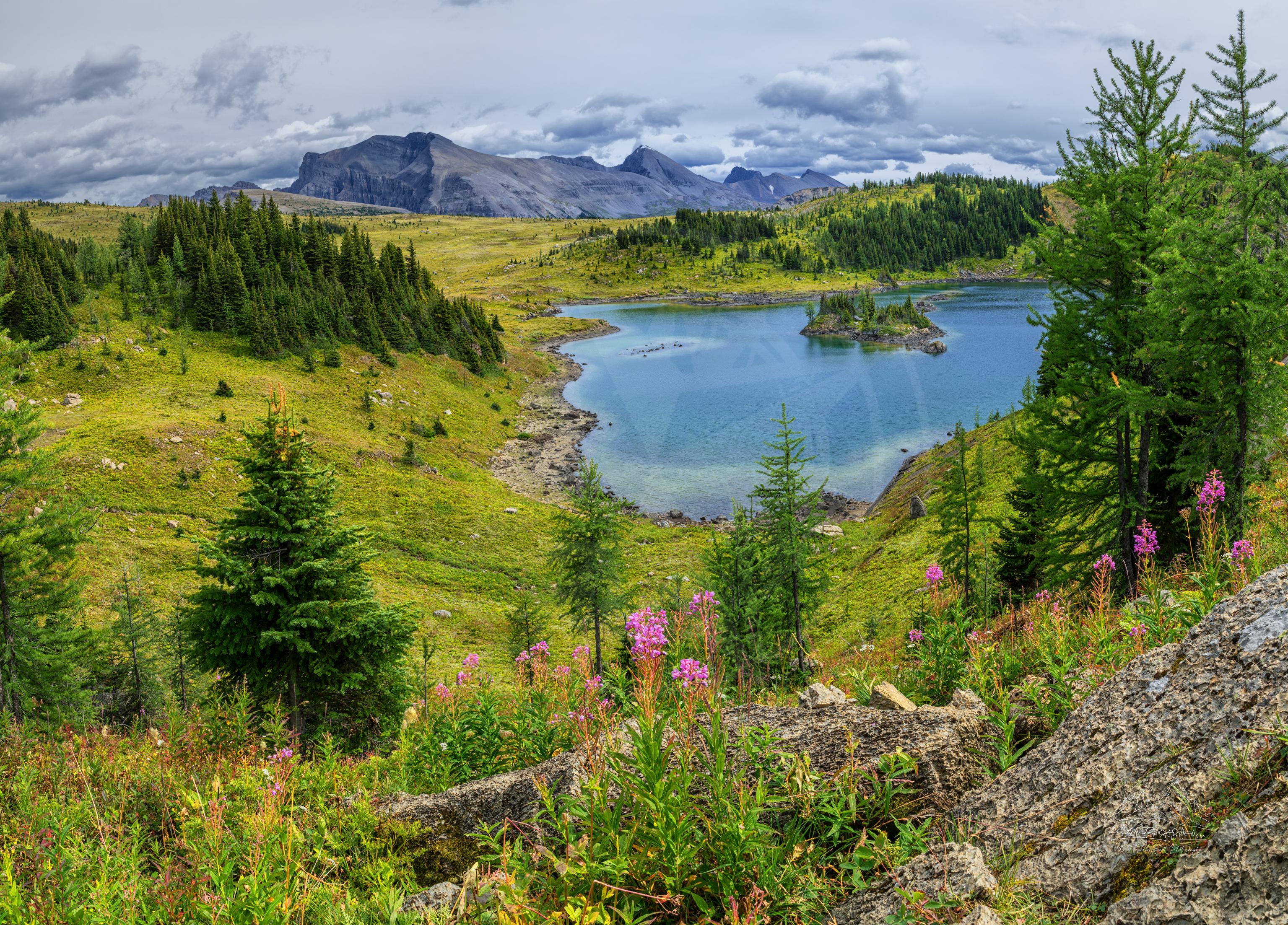 Summer Panorama of Rock Isle Lake from Rock Isle Trail in British Columbia
