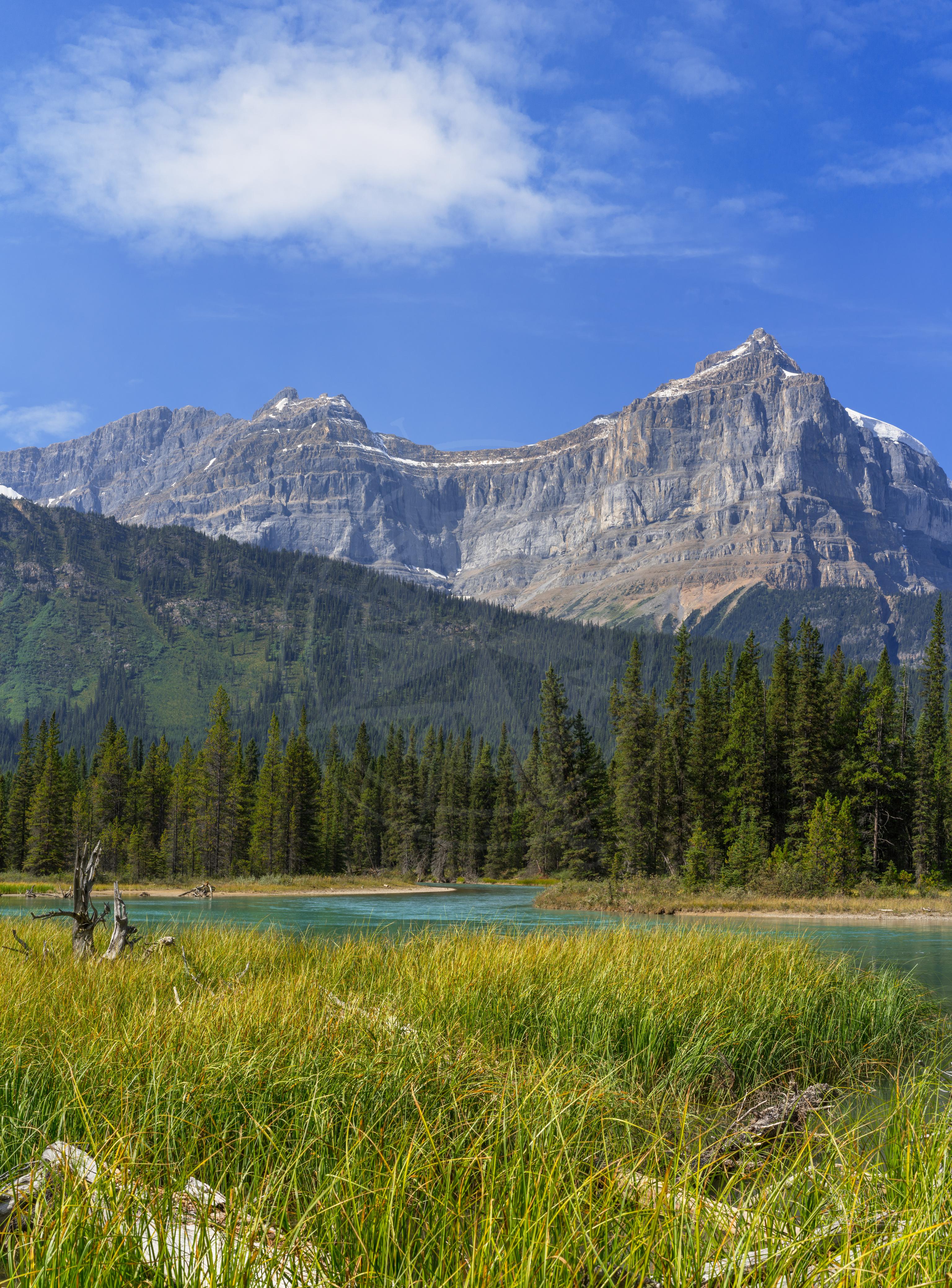 Panoramic Summer Landscape of Icefields Parkway Mountain River in Alberta Canada