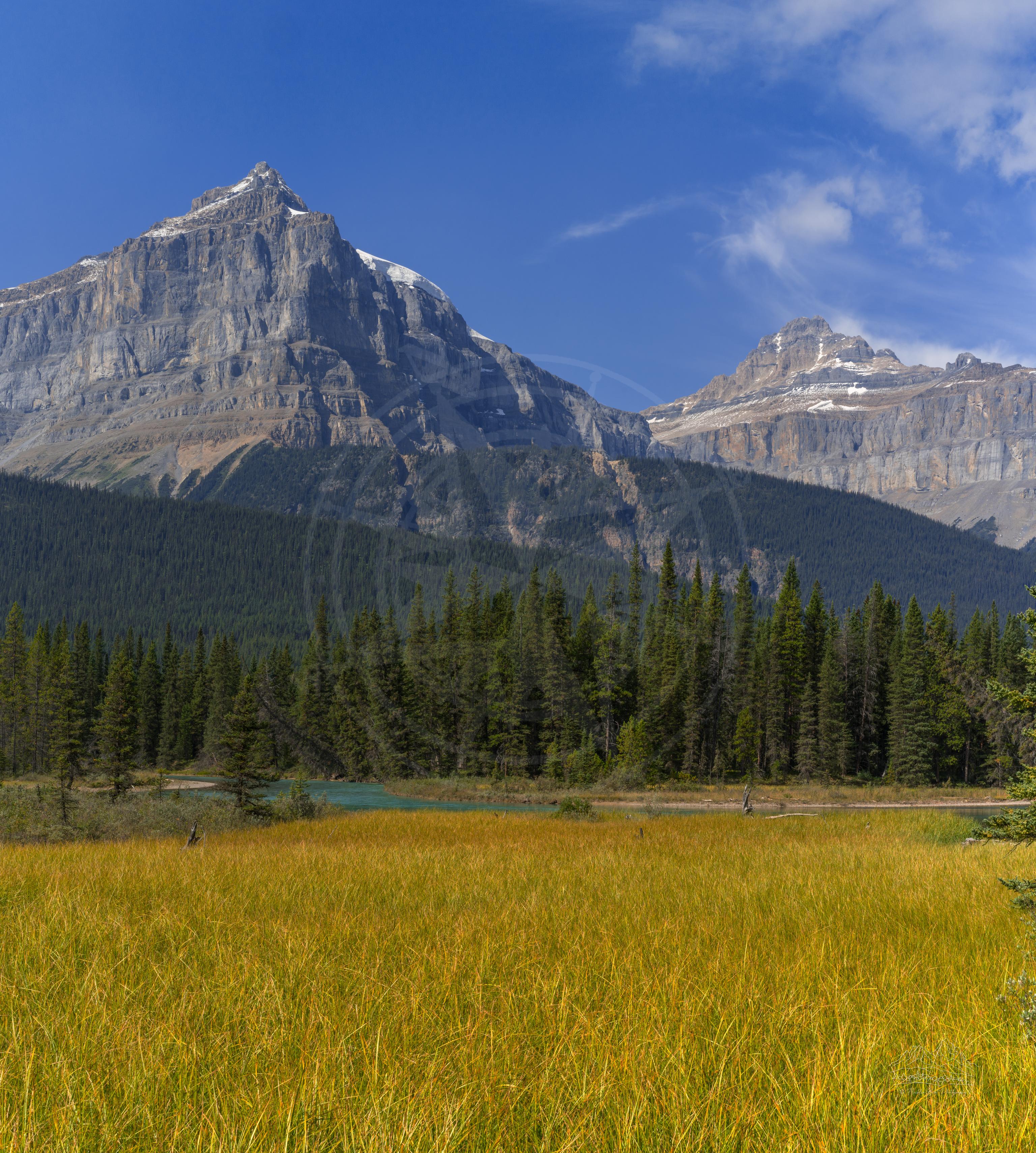 Panoramic Summer Landscape on Icefields Parkway Alberta