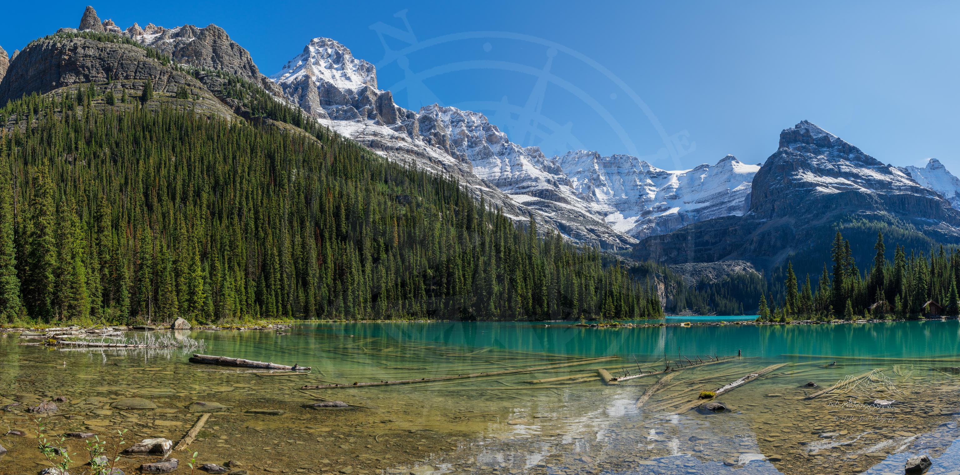 Panoramic Summer Landscape of Lake O'Hara Circuit Trail in British Columbia